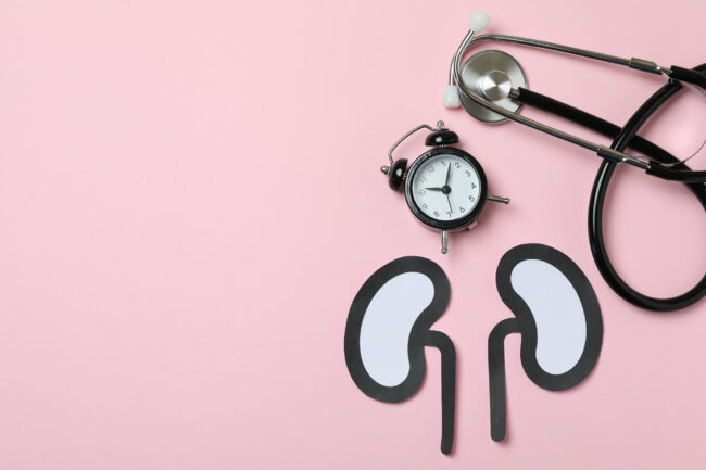 nieren-gesundheit.jpg Papierfiguren von Nieren auf einem rosa Hintergrund, daneben eine Armbanduhr und ein Stethoskop.