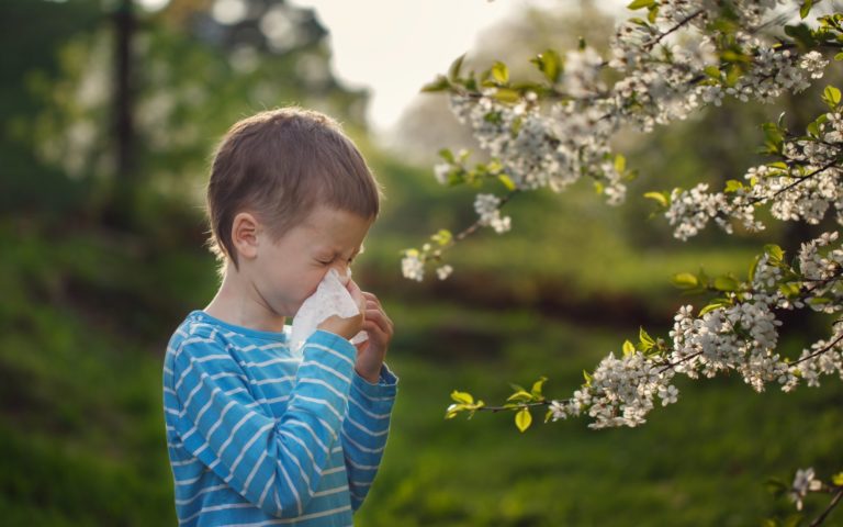 Ein Junge in einem gestreiften Shirt mit einem Taschentuch vor dem Gesicht steht vor blühenden Bäumen.