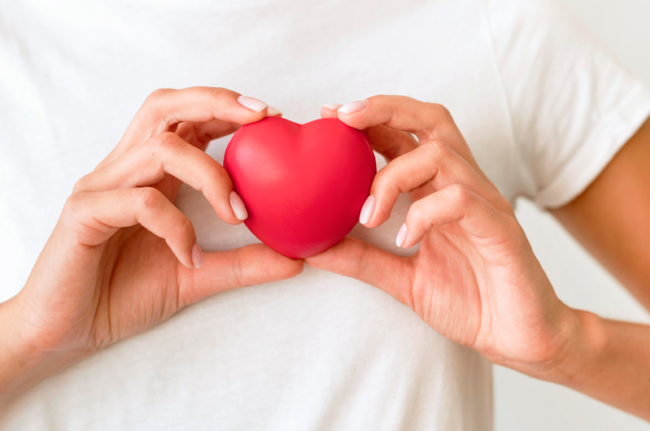 Eine Person hält ein rotes Herzen in beiden Händen vor einem hellen Hintergrund.