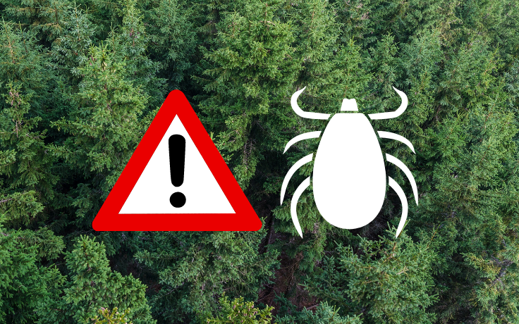 Waldlandschaft mit einer Warnsymbolik und grafischem Hinweis auf Zecken.