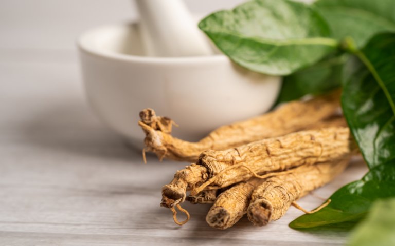 Drei getrocknete Wurzeln liegen auf einem Tisch mit einem Mörser und frischen Blättern im Hintergrund.