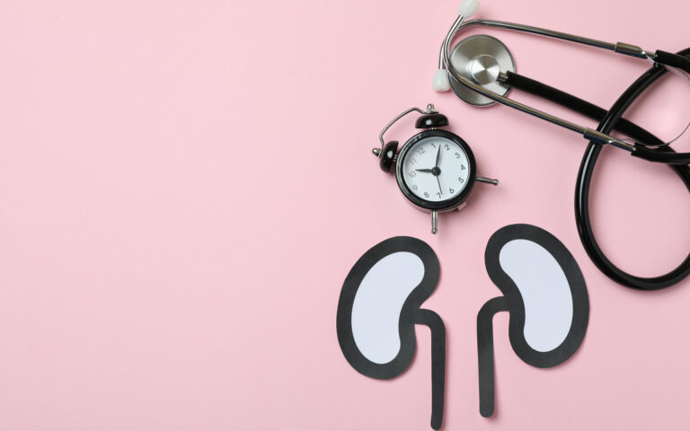 Papierfiguren von Nieren auf einem rosa Hintergrund, daneben eine Armbanduhr und ein Stethoskop.