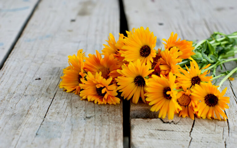 Ein Bund leuchtend orangefarbener Blumen liegt auf einem rustikalen Holztisch.